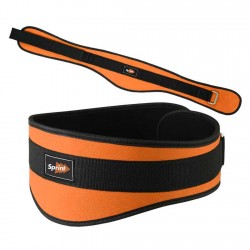Weight Lifting Belt