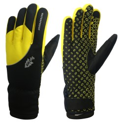 Winter Gloves