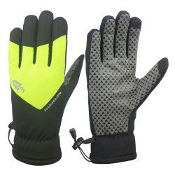 Winter Gloves