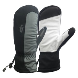 Winter Mitt