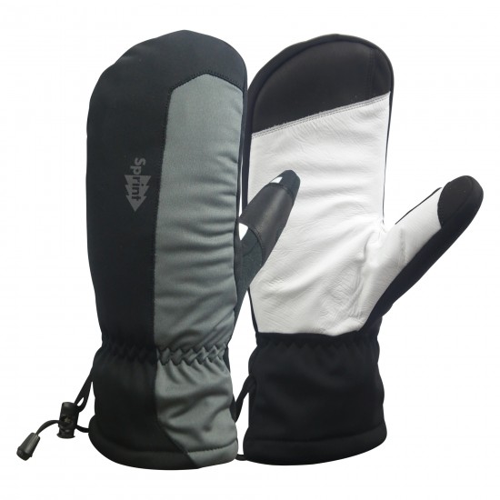 Winter Mitt Winter Mitt