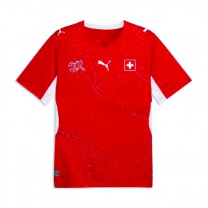 SLIM FIT CLIMACOOL+ MATERIAL:100% RECYCLED POLYESTER AUTHENTIC FOOTBALL SHIRTS QUICK DRYING